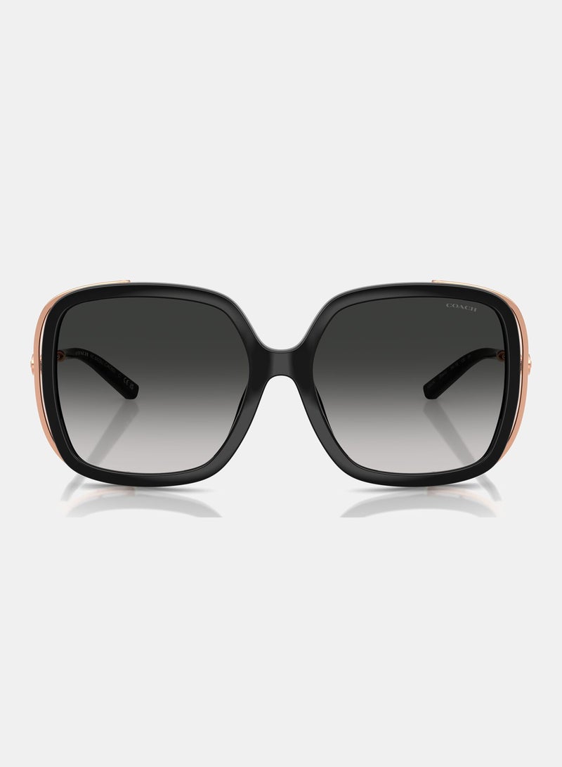 كوتش نظارة شمسية بإطار كامل مربع 8423U, 56, 5002, 3C - Image 5